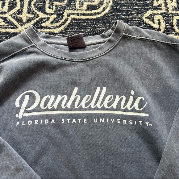 PANHELLENIC Florida State Gray Blue Oversized Sweatshirt L Comfort Colors EUC - Picture 5 of 7